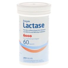 LACTASE 6.000 FCC Kapseln (PZN 09545238)