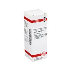 SERUM ANGUILLAE D 6 Dilution (PZN 07180181)