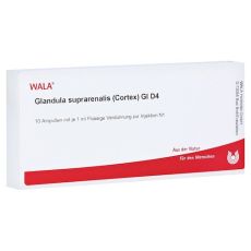 GLANDULA SUPRARENALIS cortex GL D 4 Ampullen (PZN 02829903)