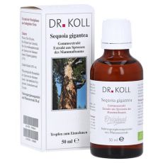 GEMMOEXTRAKT Mammutbaum Tropfen (PZN 09762616)