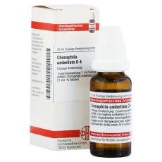 CHIMAPHILA UMBELLATA D 4 Dilution (PZN 02610659)