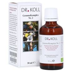 GEMMOKOMPLEX Nr.2 Tropfen zum Einnehmen (PZN 11123326)