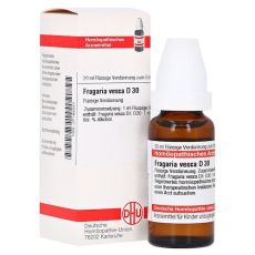 FRAGARIA VESCA D 30 Dilution (PZN 07168257)