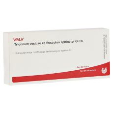 TRIGONUM vesicae et Musculus sphincter GL D 6 Amp. (PZN 03661133)