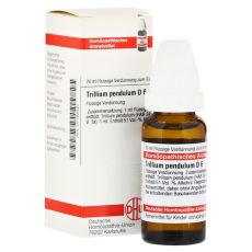 TRILLIUM PENDULUM D 6 Dilution (PZN 07182530)