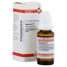 AESCULUS D 1 Dilution (PZN 02120748)