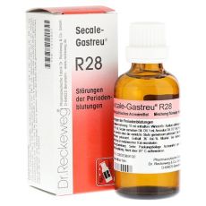 SECALE-GASTREU R28 Mischung (PZN 01372927)