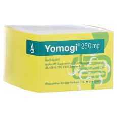 Yomogi 250mg 5 Billionen Zellen (PZN 11885941)