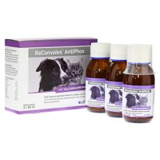 RECONVALES AntiPhos flüssig f.Hunde/Katzen (PZN 11095877)