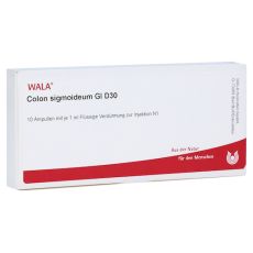 COLON SIGMOIDEUM GL D 30 Ampullen (PZN 02913526)