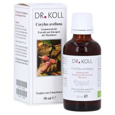 GEMMOEXTRAKT Haselnuss Tropfen (PZN 09762562)