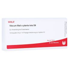 VISCUM MALI e planta tota D 6 Ampullen (PZN 02832733)