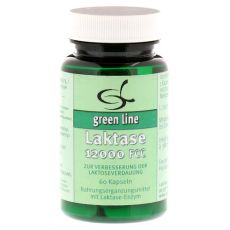 LAKTASE 12.000 FCC Kapseln (PZN 01466338)