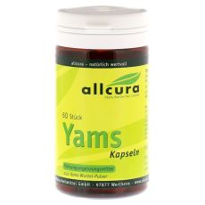 YAMS Kapseln 250 mg Yamspulver (PZN 04020637)