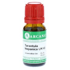 TARANTULA HISPANICA LM 6 Dilution (PZN 10407903)