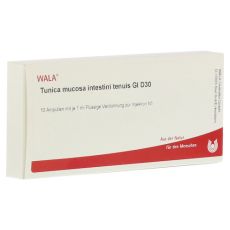 TUNICA mucosa intestini tenuis GL D 30 Ampullen (PZN 03787667)