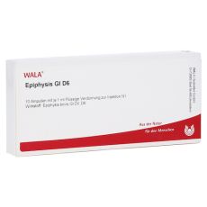EPIPHYSIS GL D 6 Ampullen (PZN 02831811)