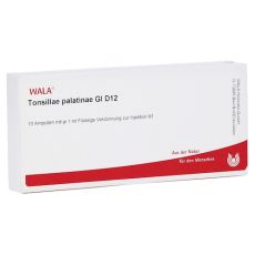TONSILLAE palatinae GL D 12 Ampullen (PZN 03354081)
