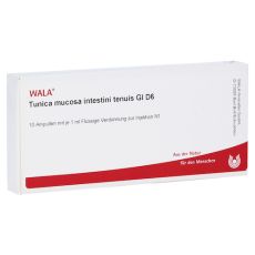 TUNICA mucosa intestini tenuis GL D 6 Ampullen (PZN 03787561)