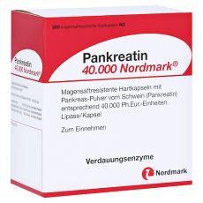 Pankreatin 40000 Nordmark (PZN 13649624)