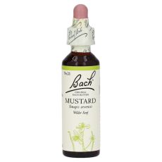 Bachblüten Mustard Tropfen (PZN 00114910)