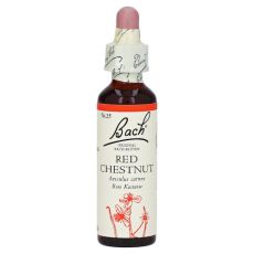 BACHBLÜTEN Red Chestnut Tropfen (PZN 00146778)
