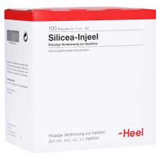 SILICEA INJEEL Ampullen (PZN 00935618)