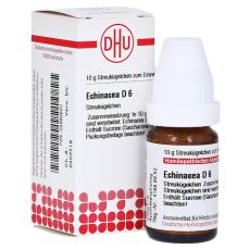 ECHINACEA HAB D 6 Globuli (PZN 02890630)