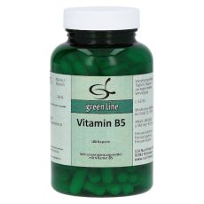 VITAMIN B5 KAPSELN (PZN 10097963)