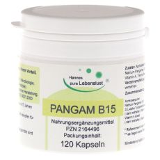 PANGAM Vitamin B15 Kapseln (PZN 02164496)
