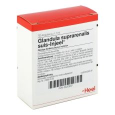 GLANDULA SUPRARENALIS suis Injeel Ampullen (PZN 00420937)