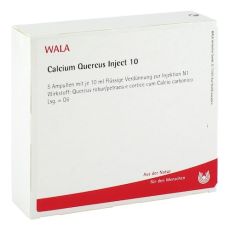 CALCIUM QUERCUS Inject 10 Ampullen (PZN 00079898)