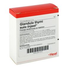 GLANDULA THYMI suis Injeel Ampullen (PZN 00421210)