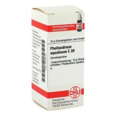 PHELLANDRIUM AQUATICUM C 30 Globuli (PZN 00546070)