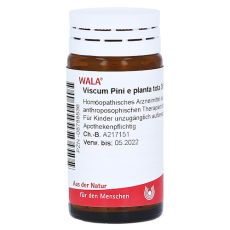 VISCUM PINI e planta tota D 6 Globuli (PZN 08788536)