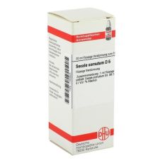 SECALE CORNUTUM D 6 Dilution (PZN 01784825)