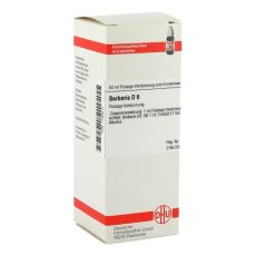 BERBERIS D 6 Dilution (PZN 01760612)