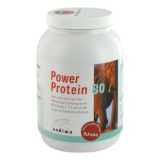 Power Protein 80 Schoko Pulver (PZN 01498485)