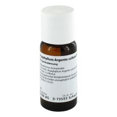 BRYOPHYLLUM ARGENTO cultum D 2 Dilution (PZN 01571911)