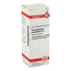 HARPAGOPHYTUM PROCUMBENS D 4 Dilution (PZN 02115339)