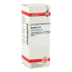 BERBERIS D 6 Dilution (PZN 01760598)