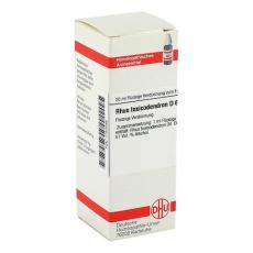 RHUS TOXICODENDRON D 6 Dilution (PZN 01783599)