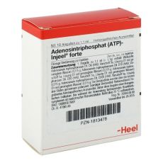 ATP Injeel forte Ampullen (PZN 01813478)