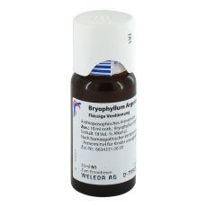 BRYOPHYLLUM ARGENTO cultum D 3 Dilution (PZN 01571934)