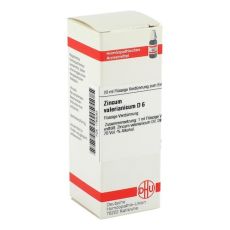 ZINCUM VALERIANICUM D 6 Dilution (PZN 01789283)