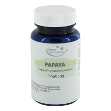 PAPAYA FRUCHT Pulver (PZN 01449363)