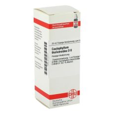 CAULOPHYLLUM THALICTROIDES D 6 Dilution (PZN 02112111)