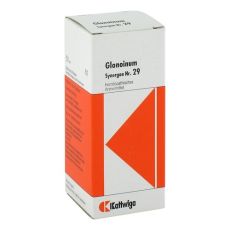 SYNERGON KOMPLEX 29 Glonoinum Tropfen (PZN 01855241)