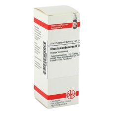 RHUS TOXICODENDRON D 30 Dilution (PZN 02104985)