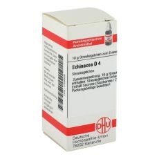 ECHINACEA HAB D 4 Globuli (PZN 01769636)